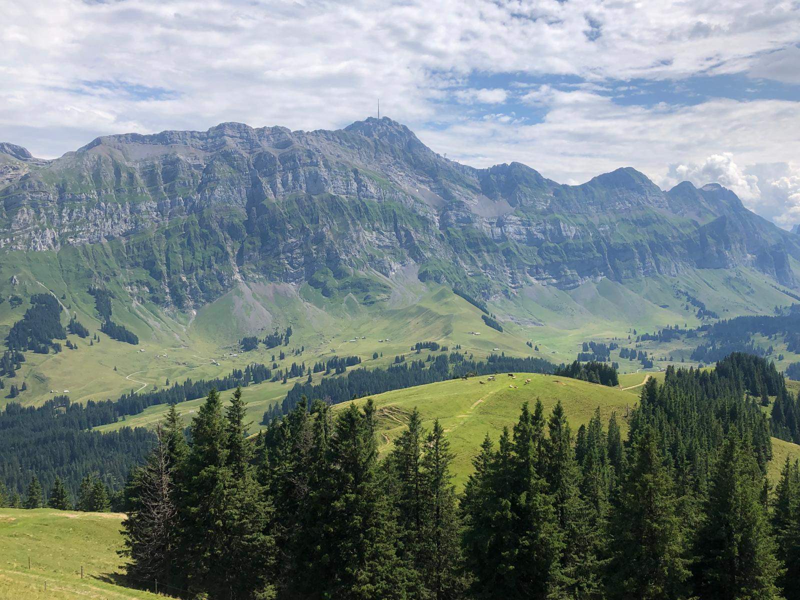 Swiss Alps summer landscape