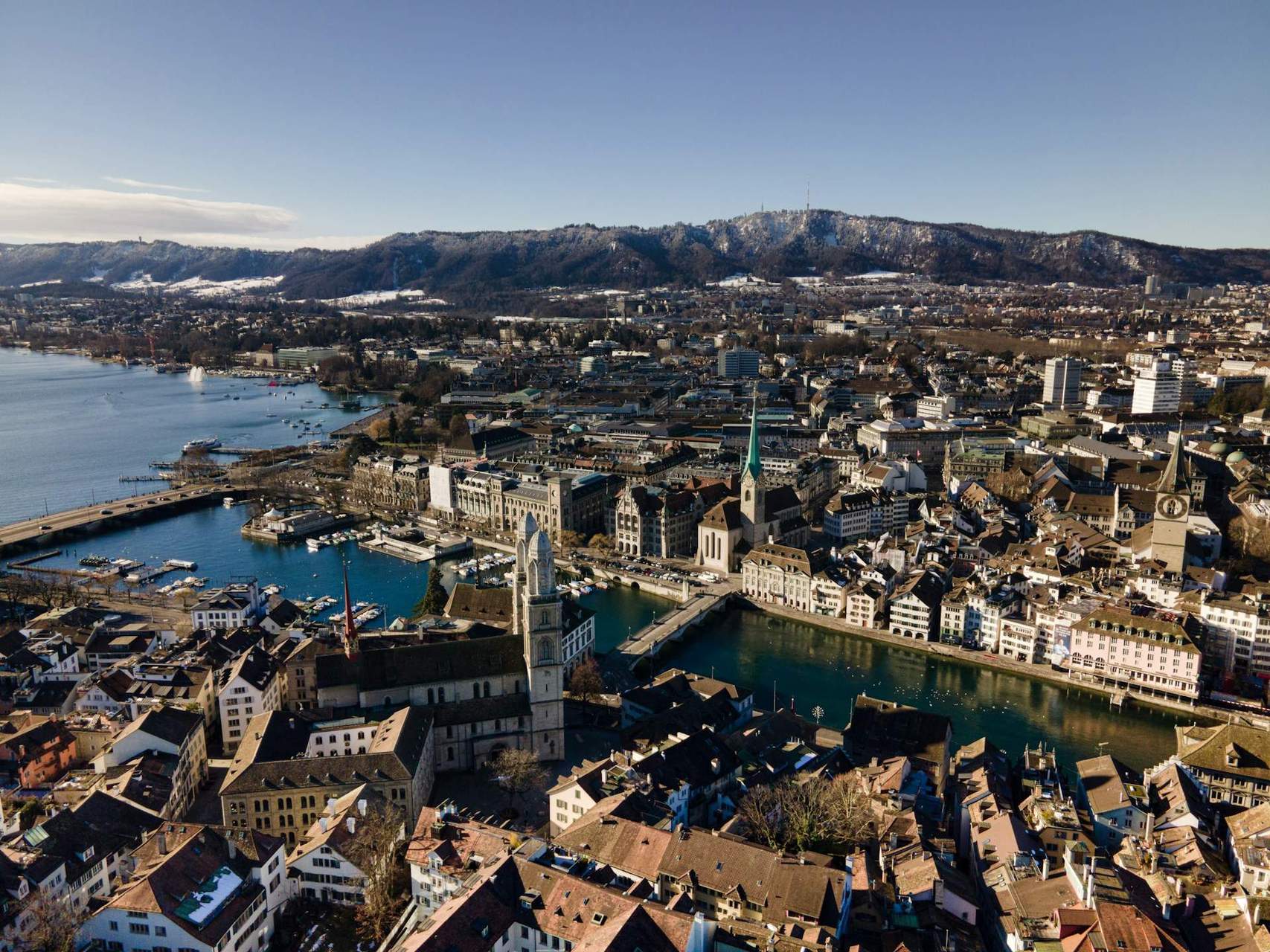 Relocation and property introductions in Zurich