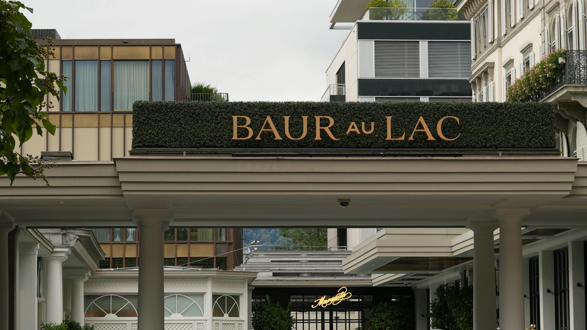 Relocation and property introductions in Zurich