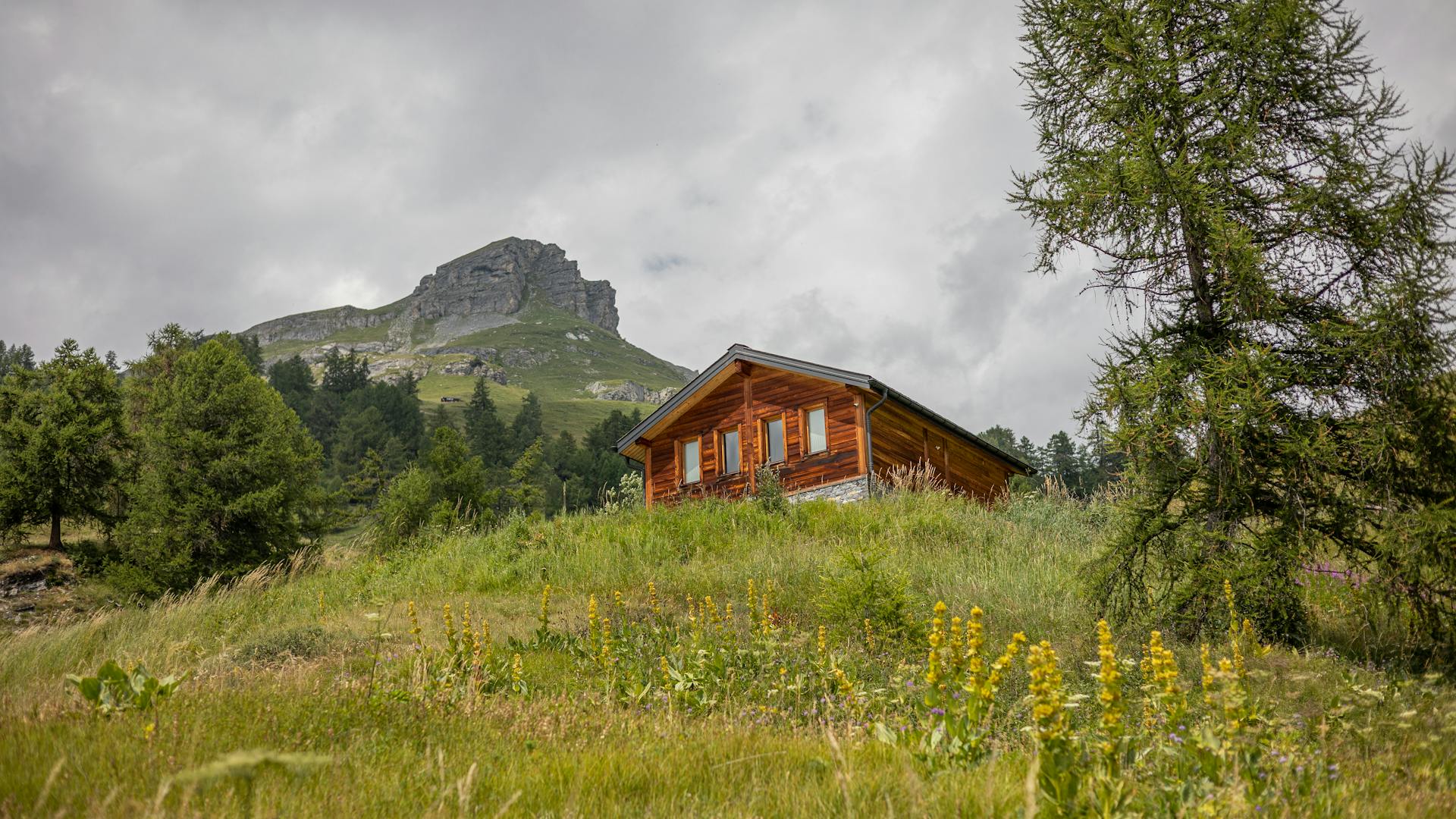 Swiss Alps summer landscape