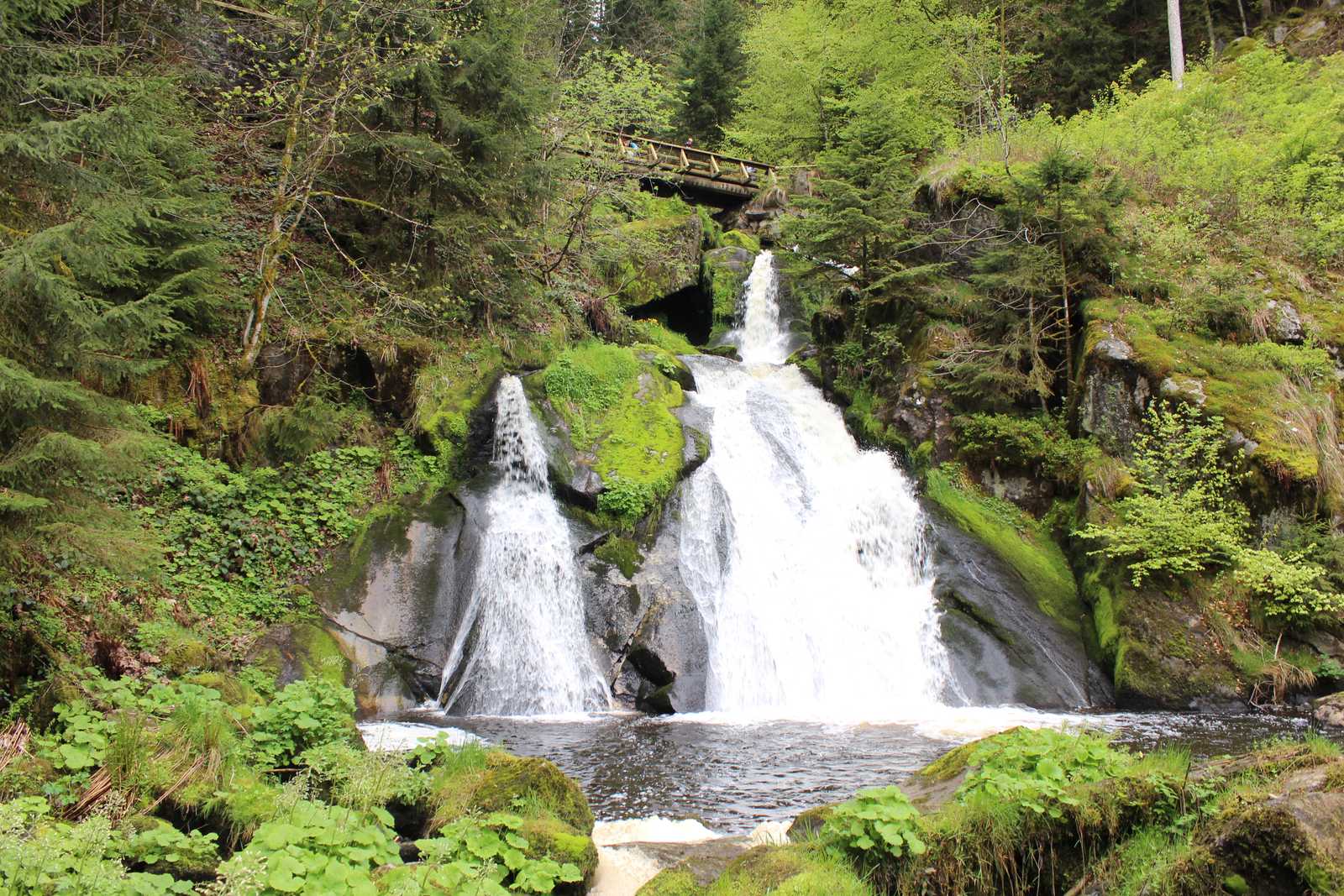 The Black Forest: a Private Day into Germany